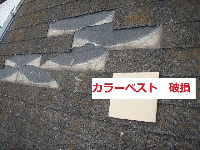 カラーベスト　破損